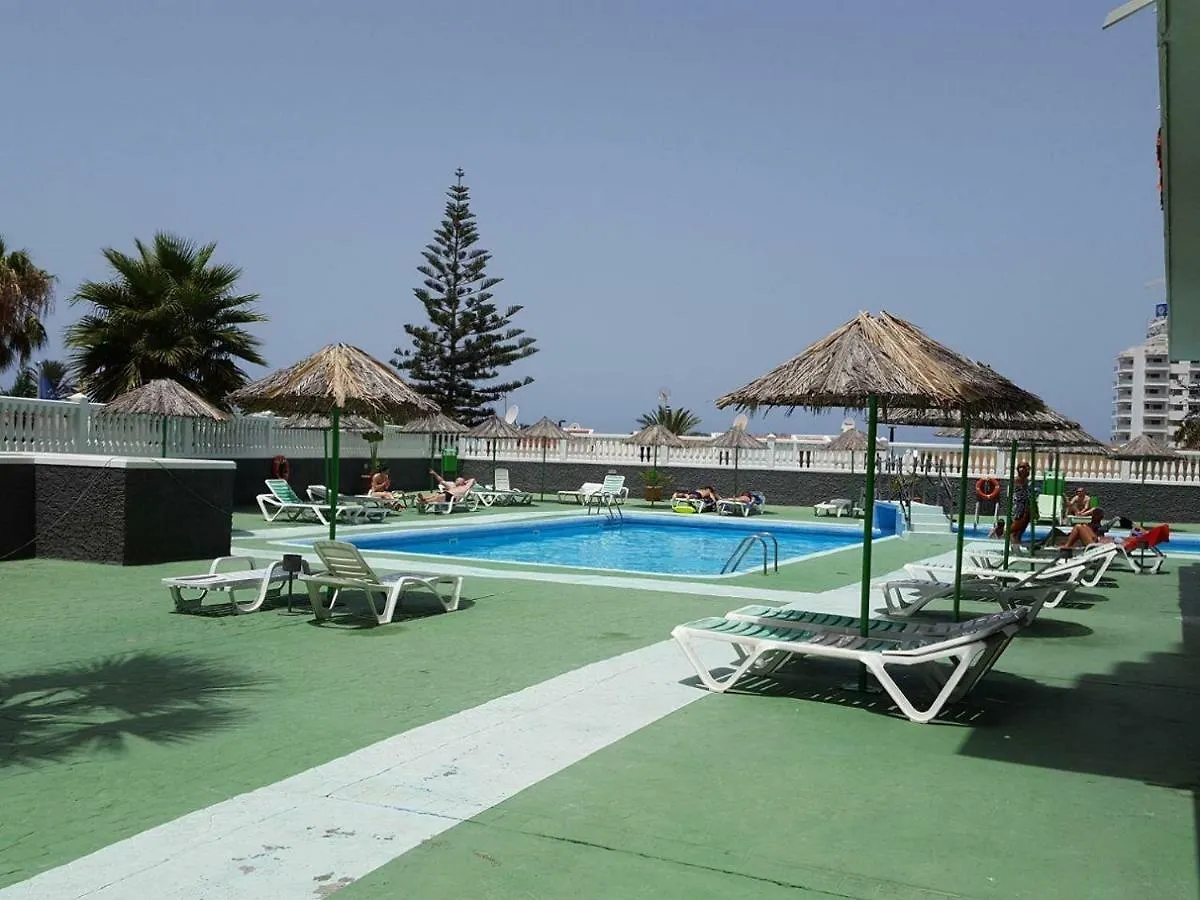 Apartment In Olympia Playa de las Americas   Playa de las Americas (Tenerife)