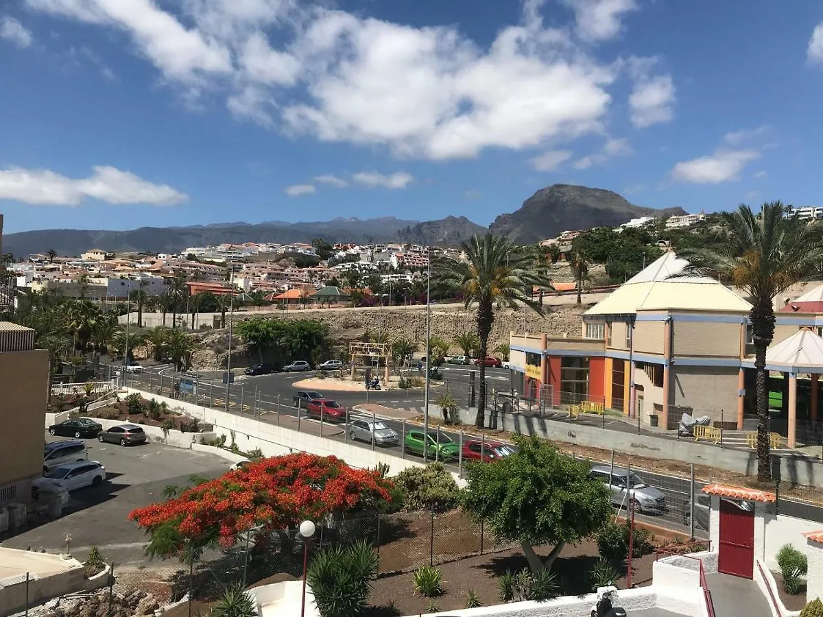 Apartment In Olympia Playa de las Americas  Spain
