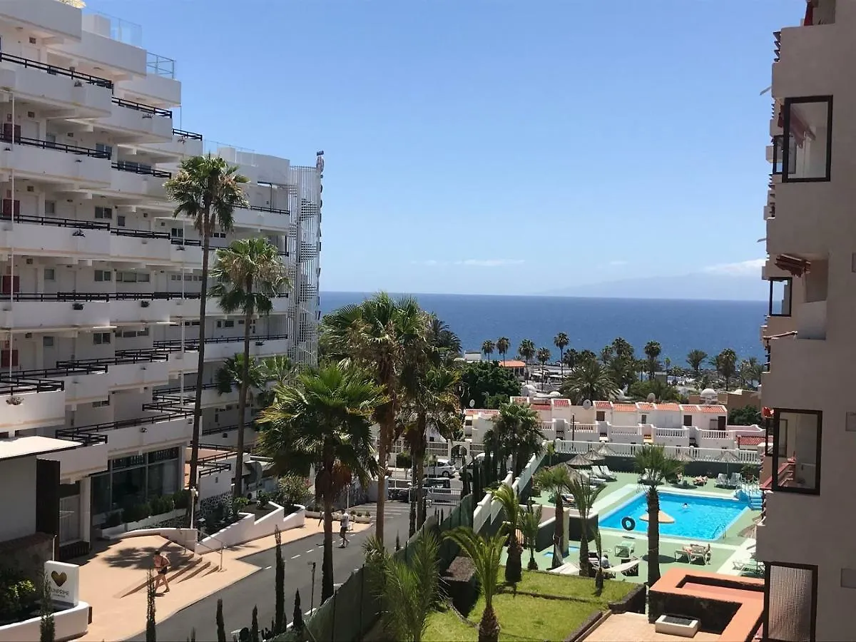 Apartment In Olympia Playa de las Americas  Playa de las Americas (Tenerife)